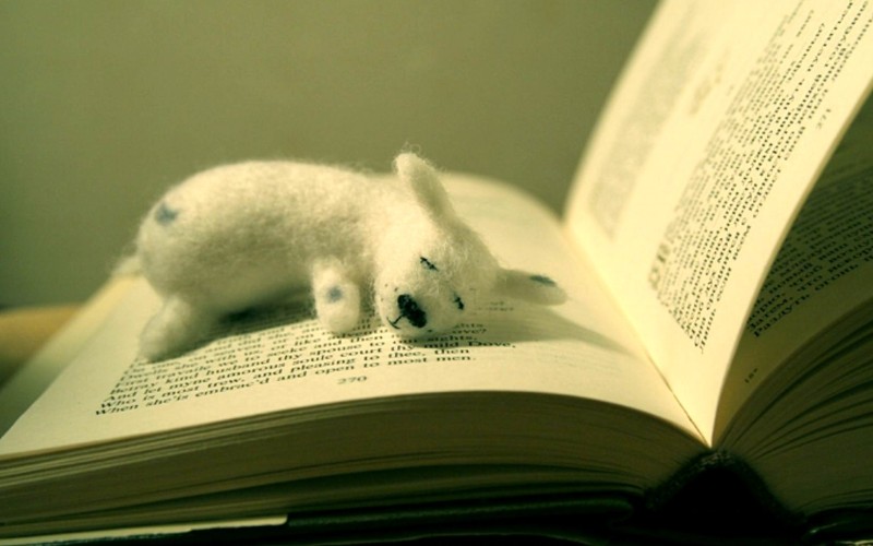 ������ ����: ������� ������� � ����������� ������������. ������� ����� �� �����? ����� �� �������� ��������� �����������? ��� ����� ���������� ���?