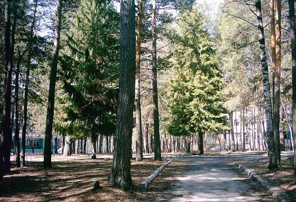 10 популярных лагерей новосибирской области.
