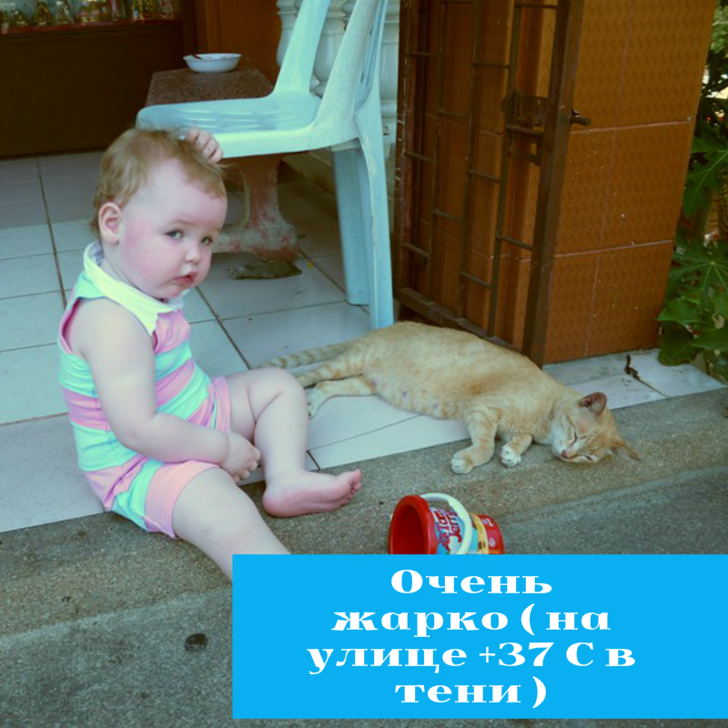 �������� � ��������� ����: ��������, �������� ���������, ������ ������. ��� ���������� �������� ���� � �������. 