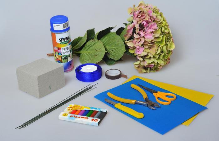 ���� �������, ���� �������� 2014 ���� �����, ������������ �����������, ������� �������, ����� ��������, ����� ��� �����������, ����� �� ���� �������