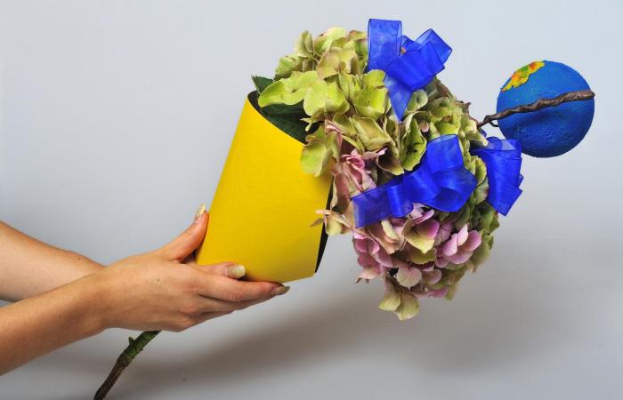 ���� �������, ���� �������� 2014 ���� �����, ������������ �����������, ������� �������, ����� ��������, ����� ��� �����������, ����� �� ���� �������