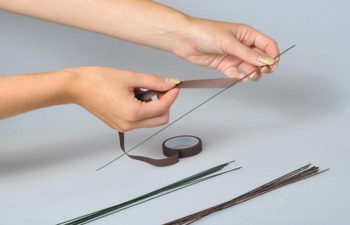 ���� �������, ���� �������� 2014 ���� �����, ������������ �����������, ������� �������, ����� ��������, ����� ��� �����������, ����� �� ���� �������