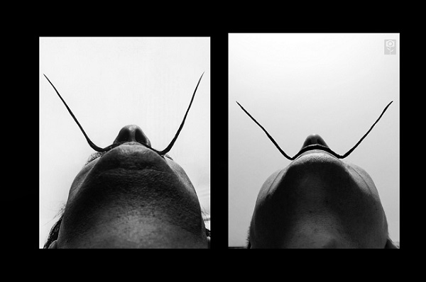 Фотошкола для начинающих, фотошкола Новосибирск, фотошкола Масловой, обучение фотографии