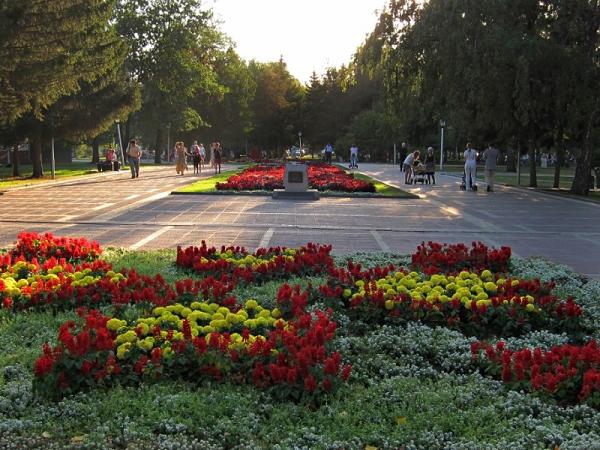 нарымский сквер