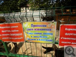 Парк «Березовая роща»: отдых на любой вкус