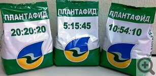 Раскрась свой сад: цветы, многолетники, плодово-ягодные. Самые интересные товары для дачников на форуме Сибмама.