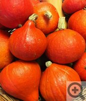 Профессиональные семена и удобрения. Коммерческие предложения на форуме Сибмама