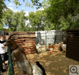 Прогулка по парку имени Кирова