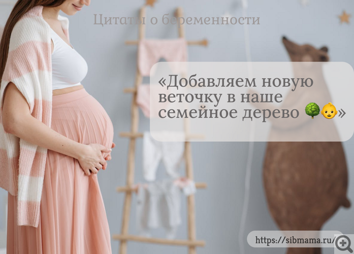 Смешные цитаты о беременности