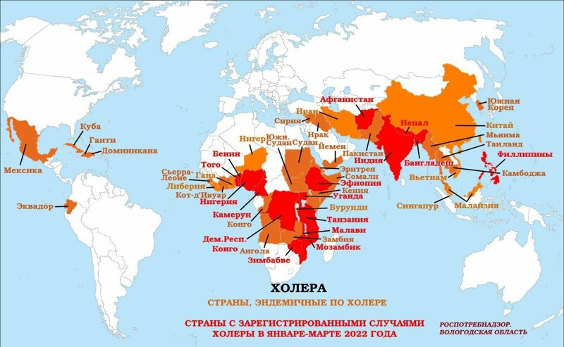 как дела с холерой сейчас?