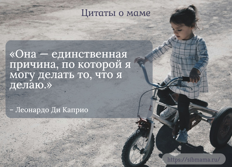 Смешные цитаты о мамах и материнстве