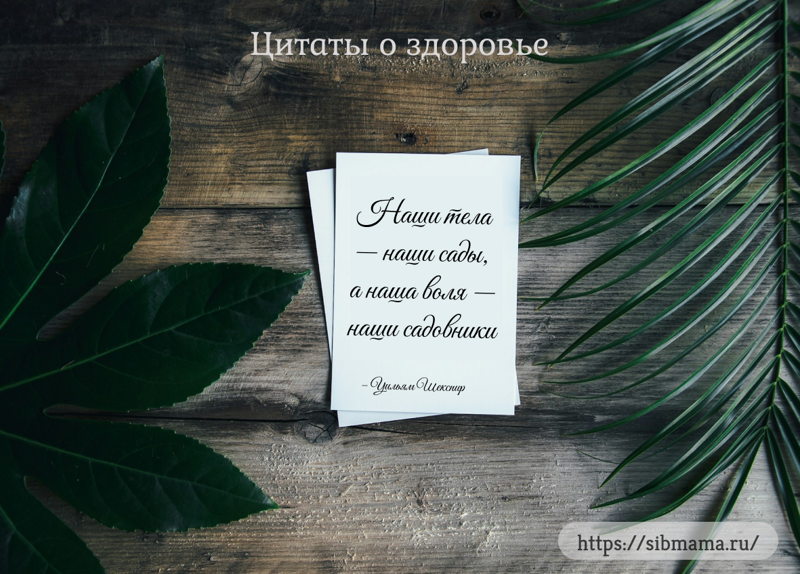 57 цитат о благополучии и здоровье для вдохновения на здоровый образ жизни