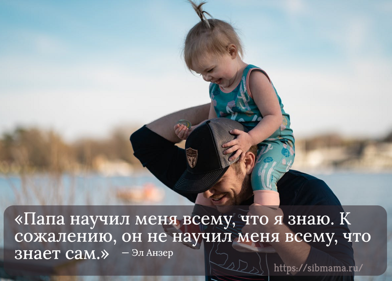 Смешные и трогательные цитаты о папе