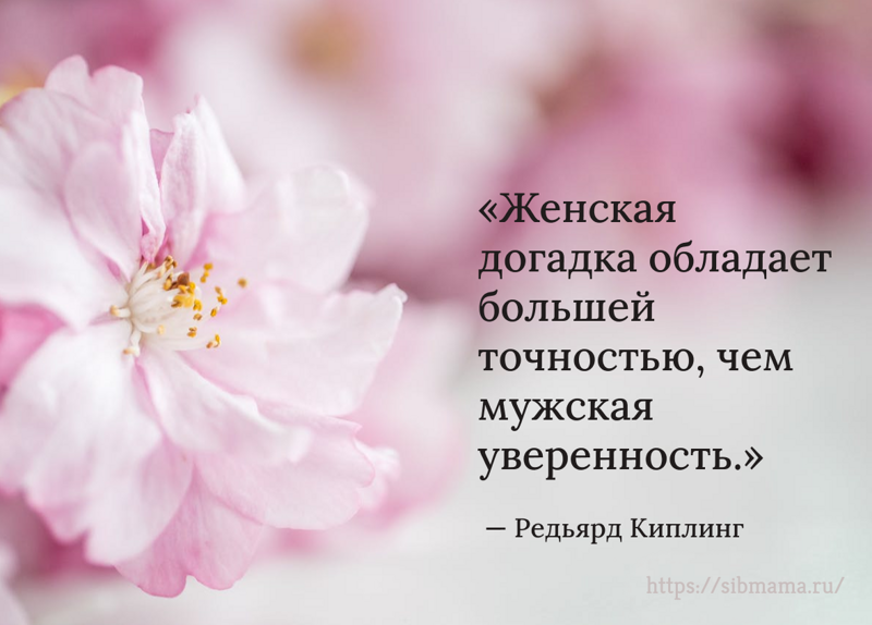 Цитаты о женской идентичности и самовыражении