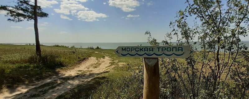 Морская тропа в Бердске