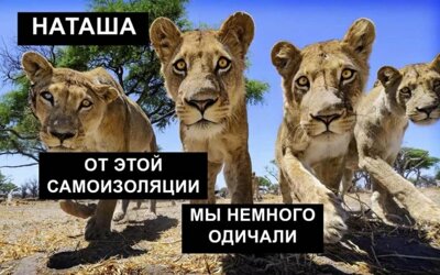 анекдоты и мемы про 2020 коронавирус