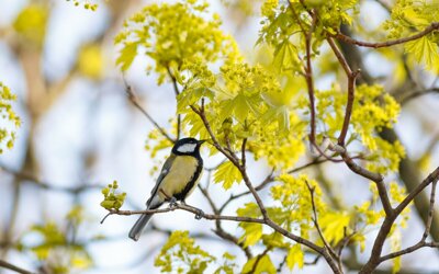 стихи для детей
