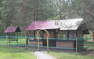 Мы предлагаем вам воспользоваться тёплой погодой и отправиться всем классом на природу!