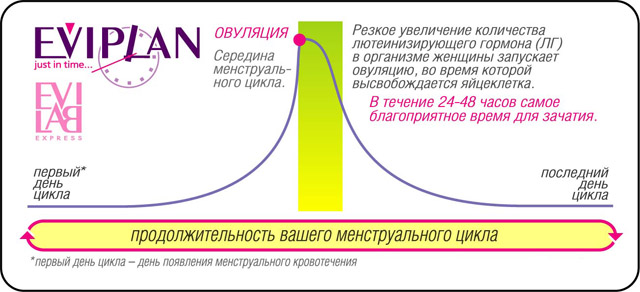 Увеличение овуляции